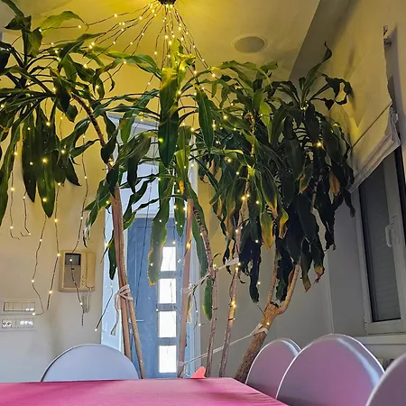 Zen & Art Apartment *